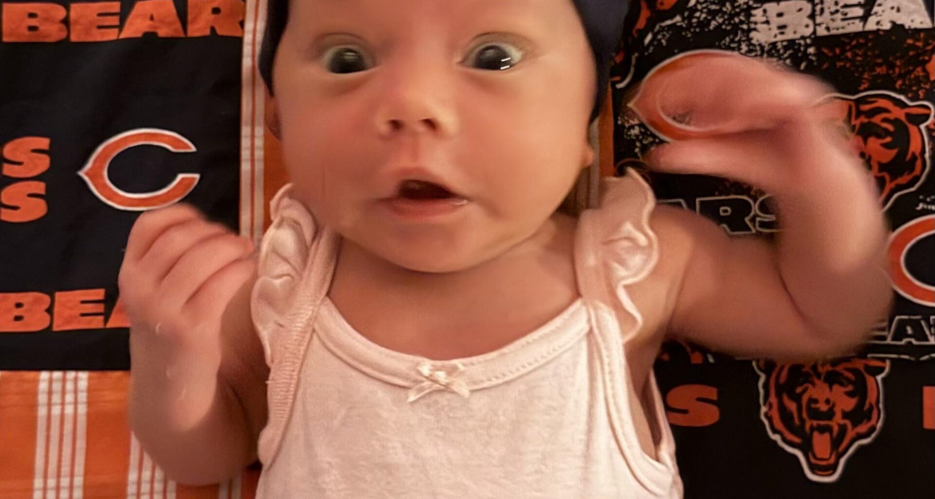 My daughter was has not seen a bears loss yet.