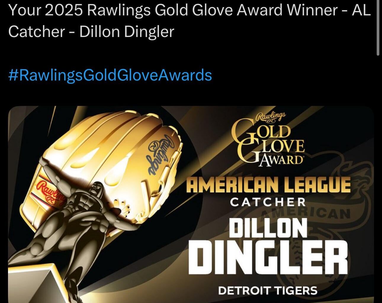 Your 2025 Rawlings Gold Glove Award Winner - AL Catcher - Dillon Dingler