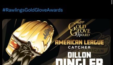 Your 2025 Rawlings Gold Glove Award Winner - AL Catcher - Dillon Dingler