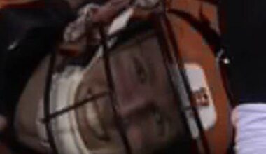 Ideas for a new head coach:  the Colts look great.  Maybe we could get one of their coordinators…