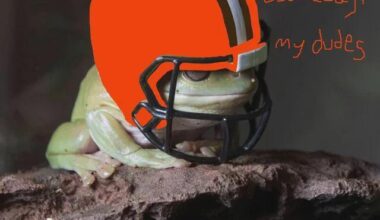 My dudes...it's gameday!