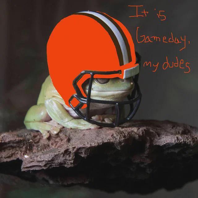 My dudes...it's gameday!