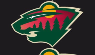 I turned some of my northern lights photos into Wild logos. Which one is best?