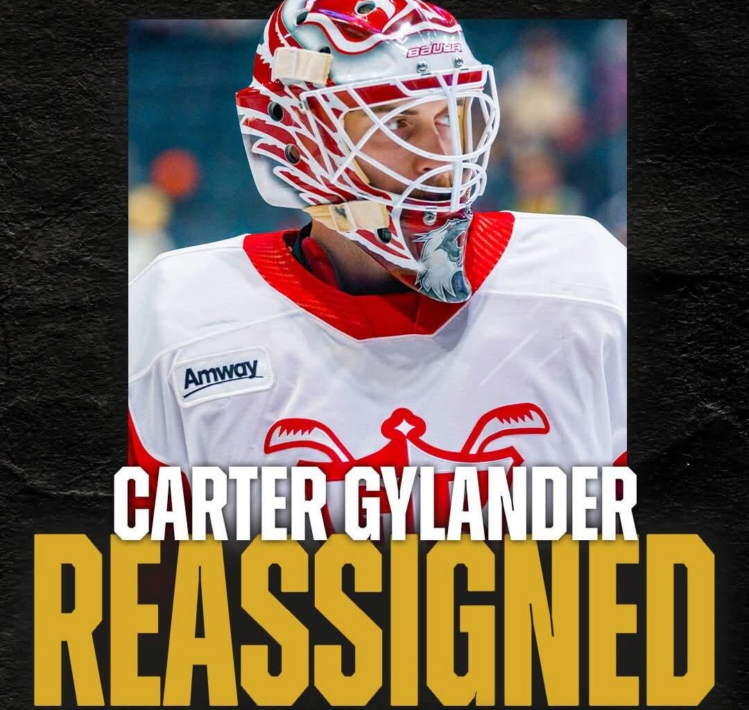 Toledo walleye goalie varter gylander called up to the grand rapid griffins