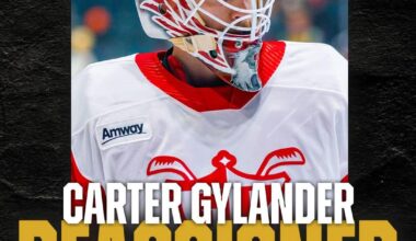 Toledo walleye goalie varter gylander called up to the grand rapid griffins