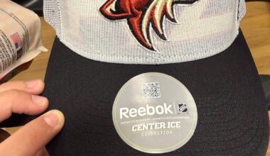 Interesting TJ Maxx Finds