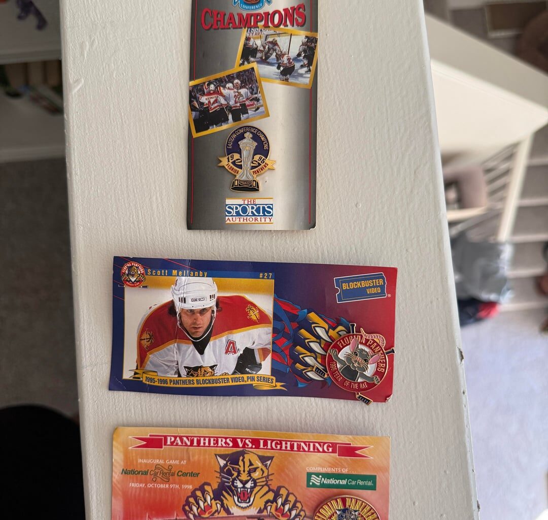 Some fun Panthers pins from the 90's!