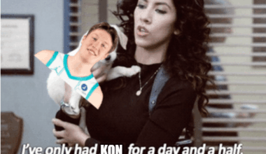 Protect Kon at all costs