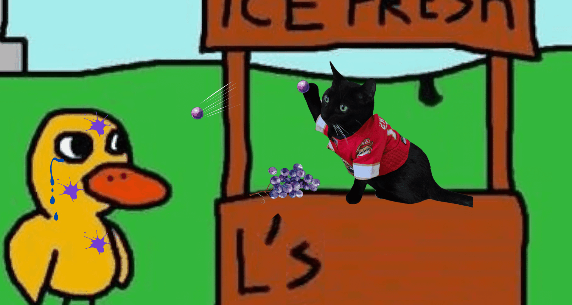 A duck walked up to a Purrhees stand