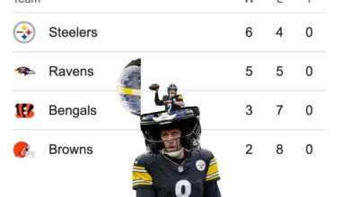 Ladies and Gentlemen... your Pittsburgh Steelers are still atop the AFC North.