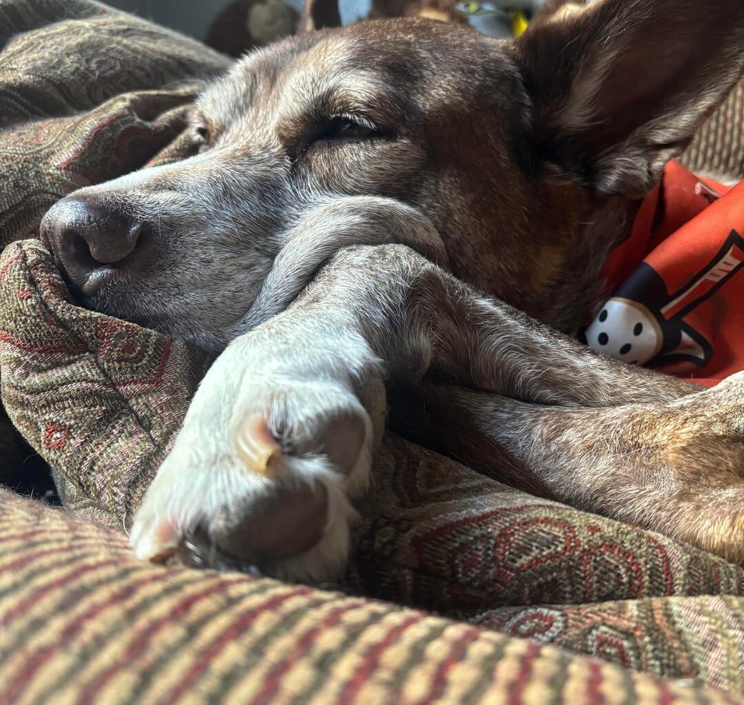 “I can’t believe he’s watching football” - Lilly