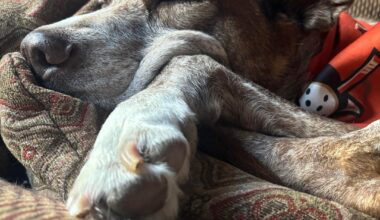 “I can’t believe he’s watching football” - Lilly