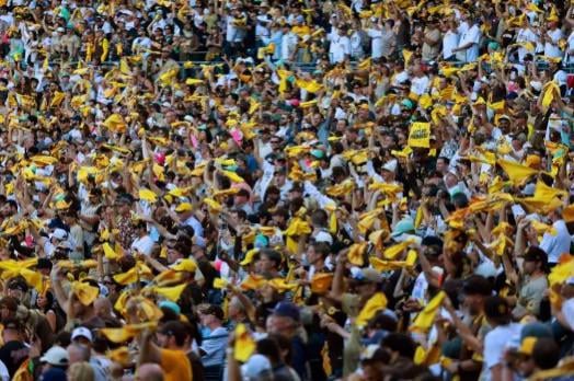 Papa Pete built it…they will come