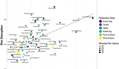 Best big men rim protectors so far this season