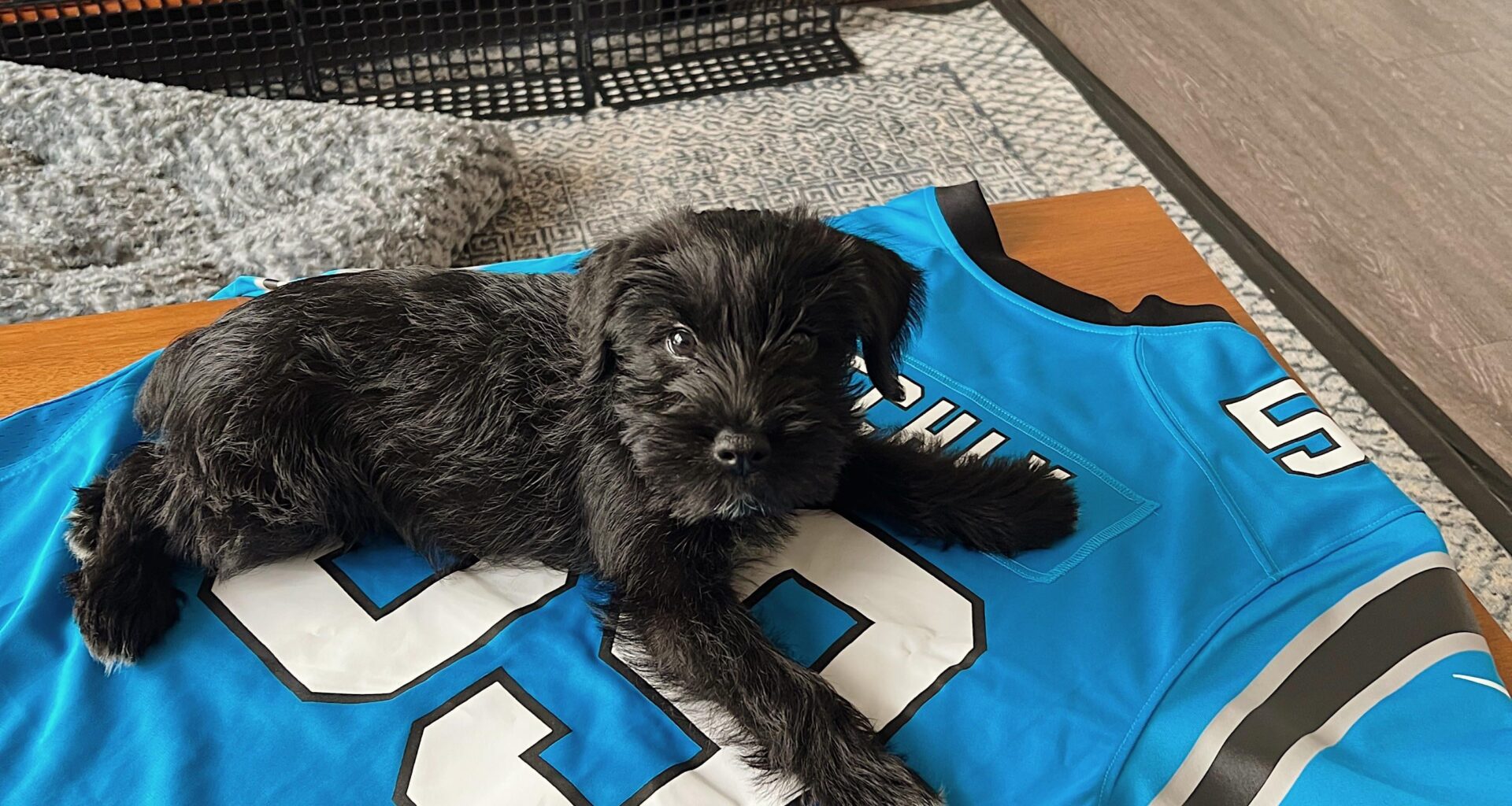 It isn’t game day without Beau Jangles