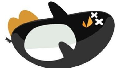 THATS KRAKEN HOCKEY BABY!!!