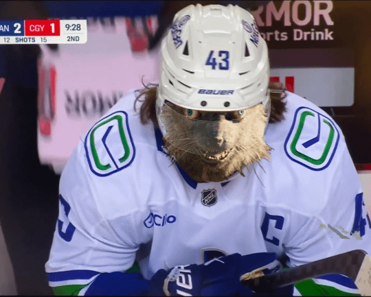 How Quinn Hughes actualy be on the bench