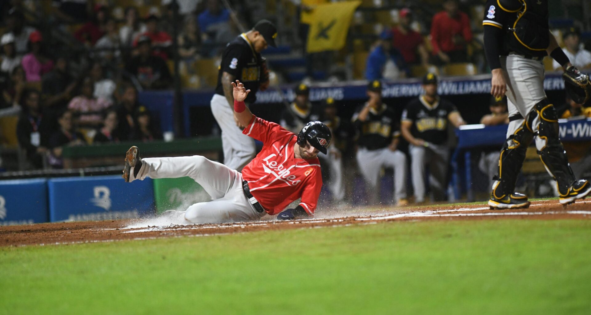 Why Dominicans Dominate Baseball: Inside MLB’s Largest Talent Pipeline