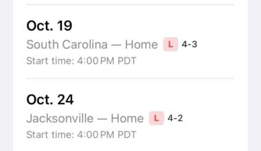 PSA: Swamp Rabbit hockey is fun as hell