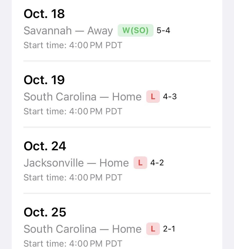 PSA: Swamp Rabbit hockey is fun as hell