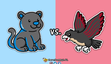 Atlanta Falcons Week 11 Matchup Doodle :)