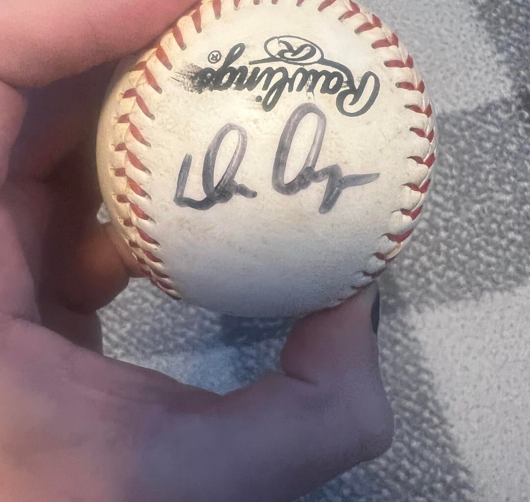 Can anyone identify these signatures?