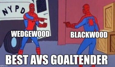Who is the best AV goal tender