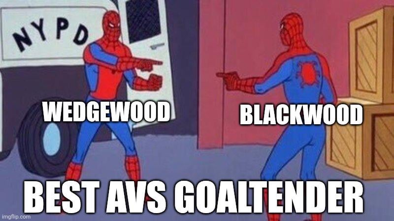 Who is the best AV goal tender