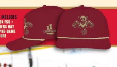 ISO this FSU-themed Panthers hat