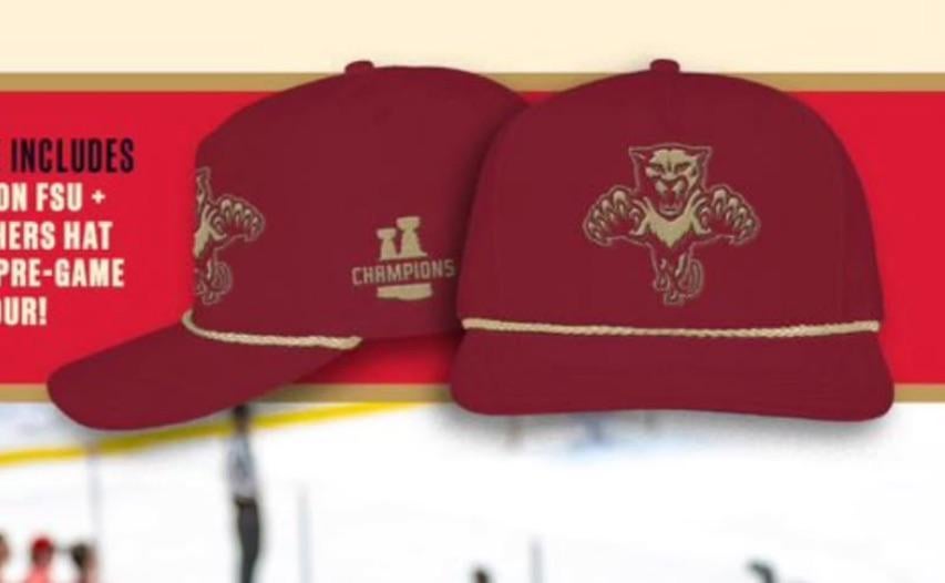 ISO this FSU-themed Panthers hat
