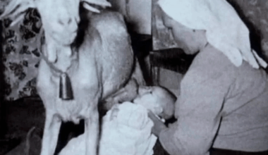 A rare photo of a very young Reaves being brestfed