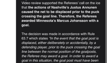 NHL Explanation on JoJo’s goal