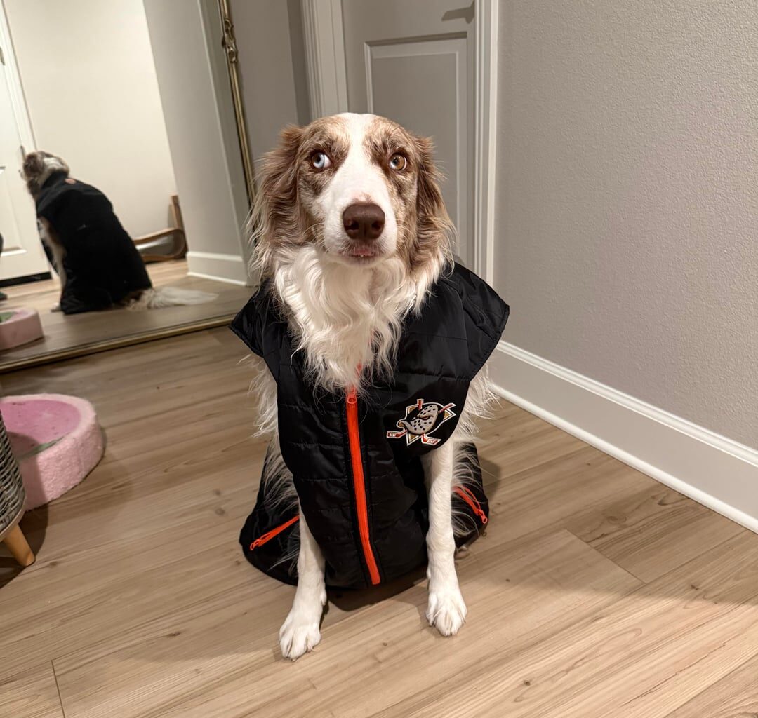 Finally got the OA vest