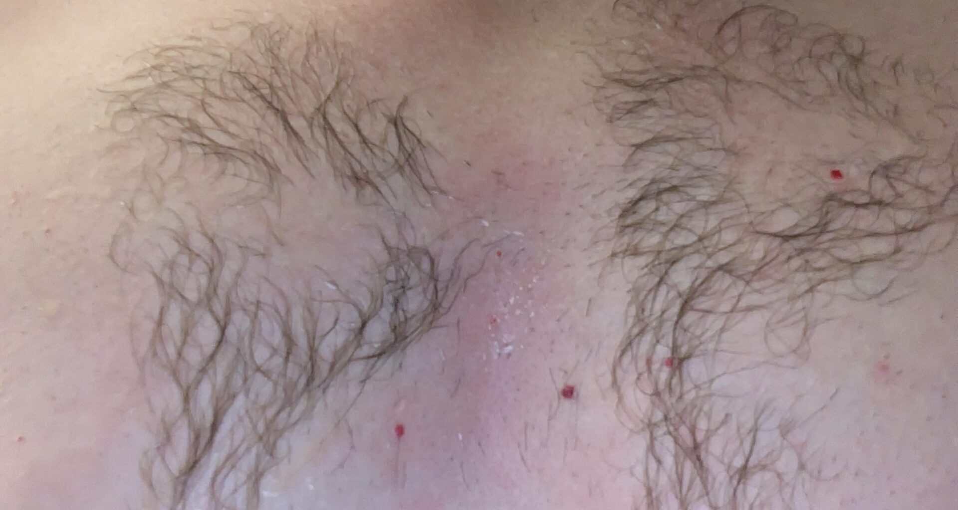 Here you go ya bastards, for the record I'm claiming Ehlers' first goal with us for all eternity