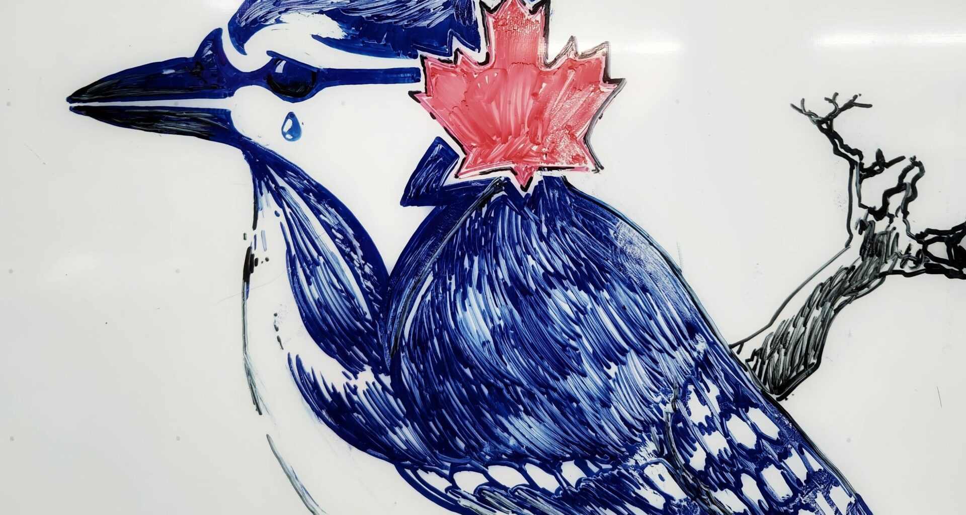 I updated my jays fan art from a week ago.