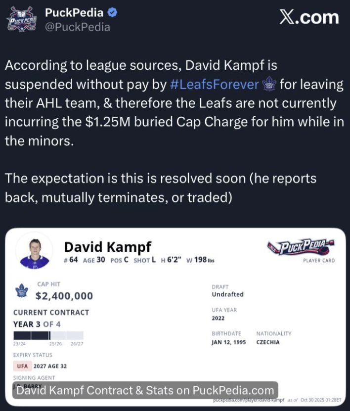 Leafs Suspend David Kampf