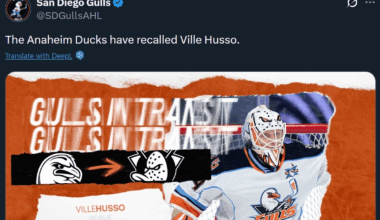 Looks like Husso is coming back up to the Ducks