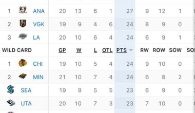Minnesota Wild currently occupy a playoff spot