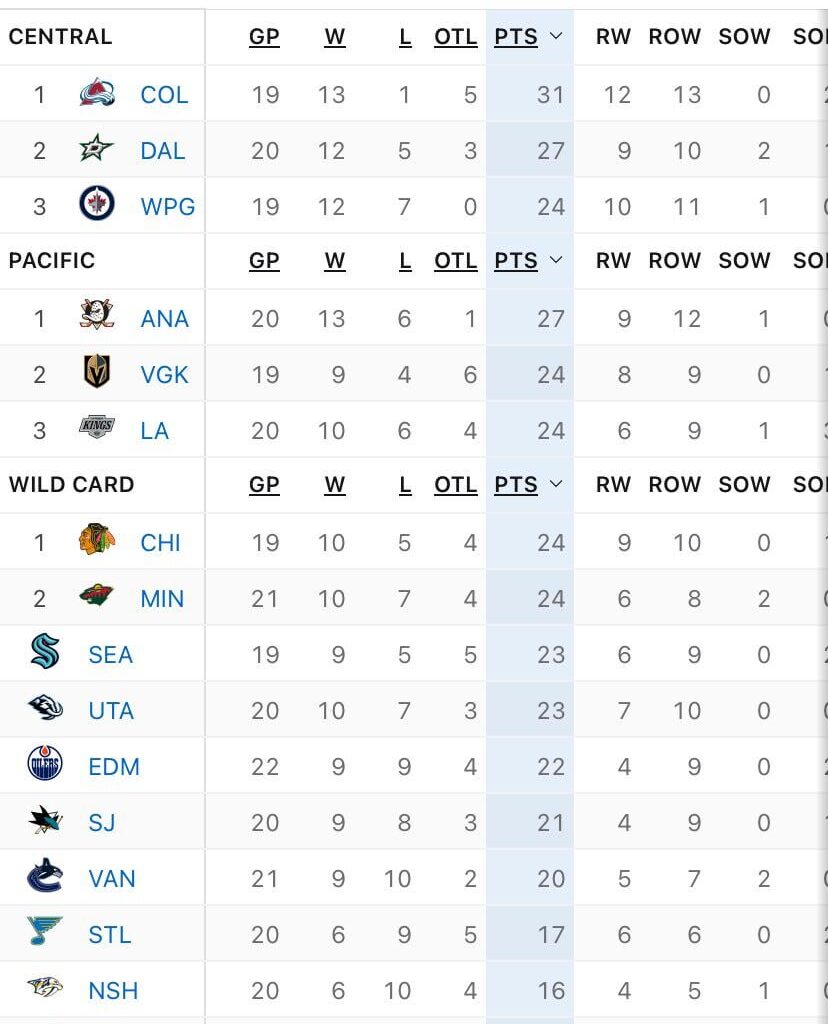 Minnesota Wild currently occupy a playoff spot