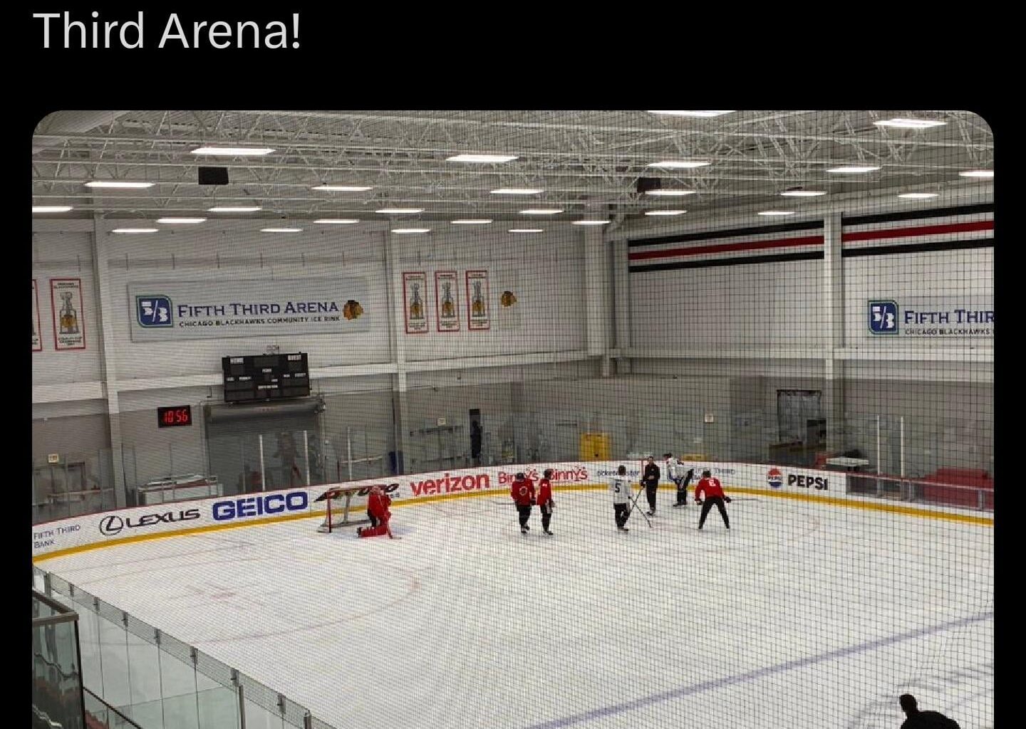 Rare creature believed to go extinct makes a remarkable comeback in Chicago