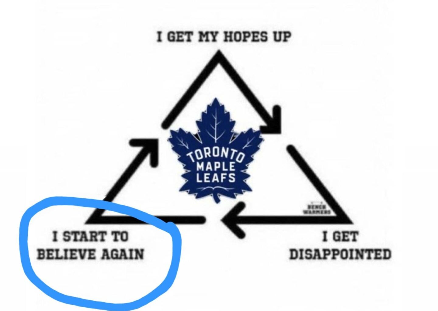 the Leafs won the hockey game