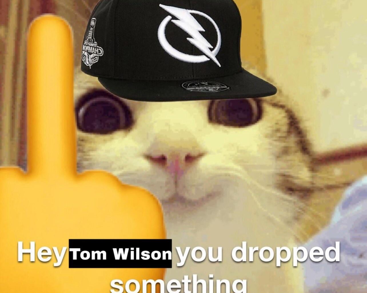 Seriously “FUCK TOM WILSON”