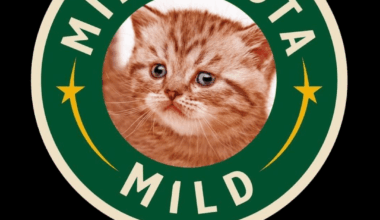 For anyone looking for a new phone background, this has been mine for the last 4-5 years.