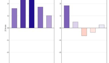 Doan's vs Peterka's RAMP