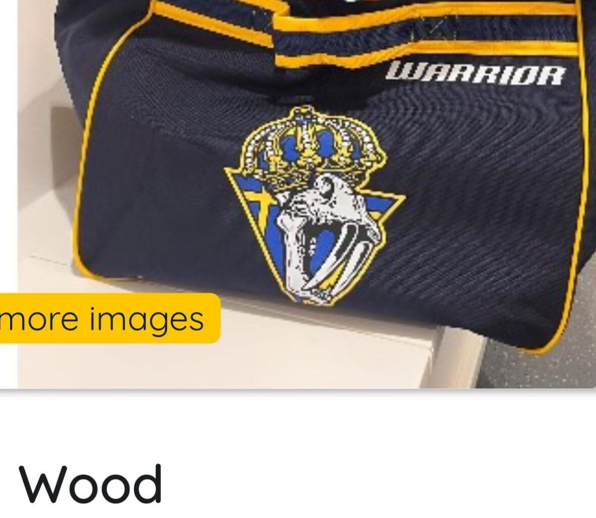 Preds org puts out so many awesome one shot logos…. Yet we don’t have a 3rd jersey