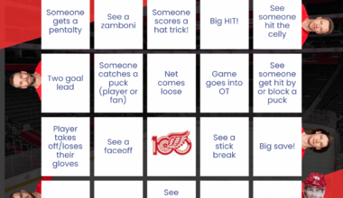 Red Wings Bingo (Wingo Bingo?)