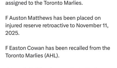 Akhtyamov back to the Marlies, Matthews to IR, Cowan Recalled, Woll Activated [Leafs PR]