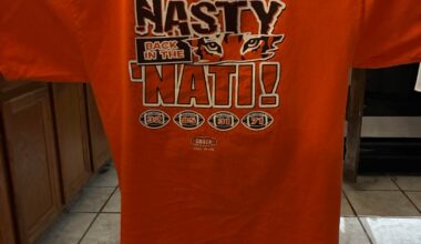 THREE JOHNSONS AND BIG WILLIE