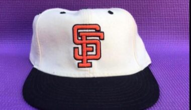 Can anyone help me find this hat?