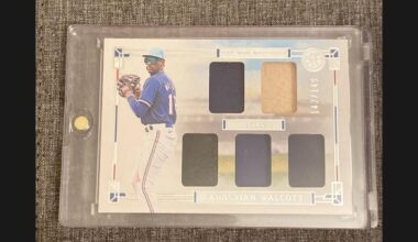 Is it now time to start getting excited about Sebastian Walcott?